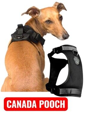 🐶 Dog Harness Breathable Black Mesh - Size Medium - NWT Canada Pooch
